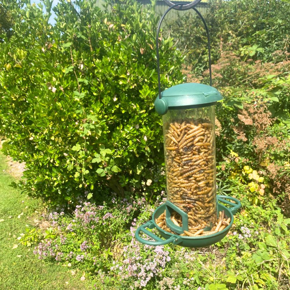 Flip Top Mealworm Feeder